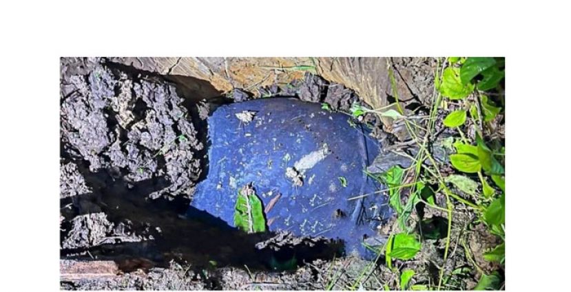 砂尼亚镇发现疑似火箭碎片　科艺部派调查组赶往查核