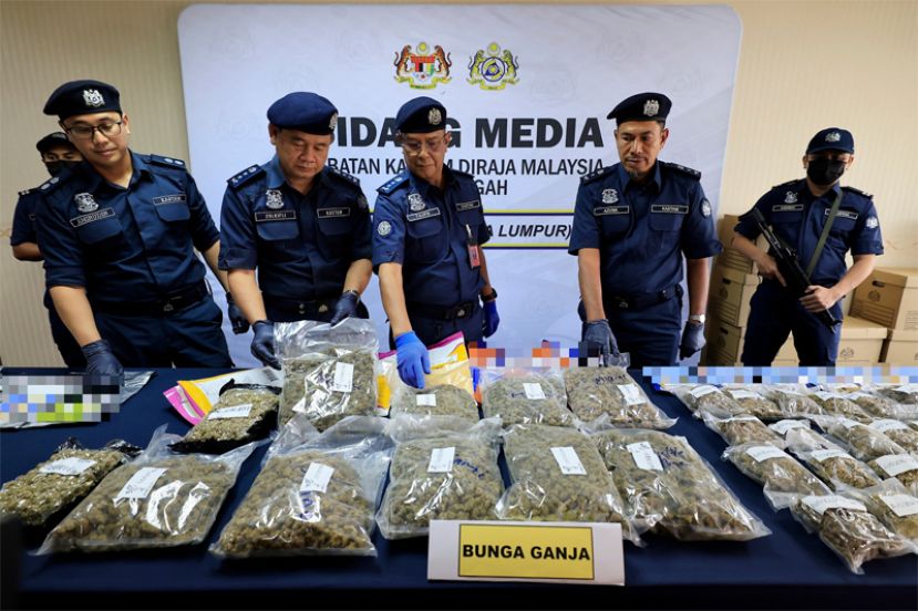 大马关税局捣破 伪装成零食和宠物粮食 2057万&ldquo;大麻花&rdquo;毒品