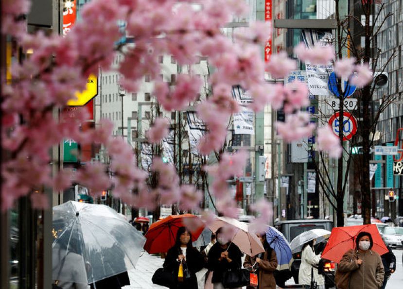 日本2022年10月全境新增1864例死亡病例、11月新增2985例，但到了12月激增到7622例，而今年1月前10天也有3145人病故。