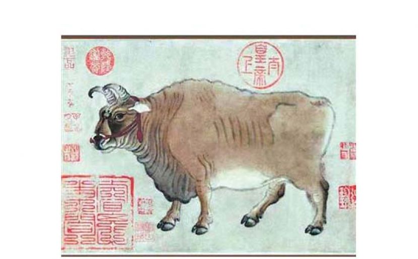 《五牛图》(局部) 韩滉(唐)。