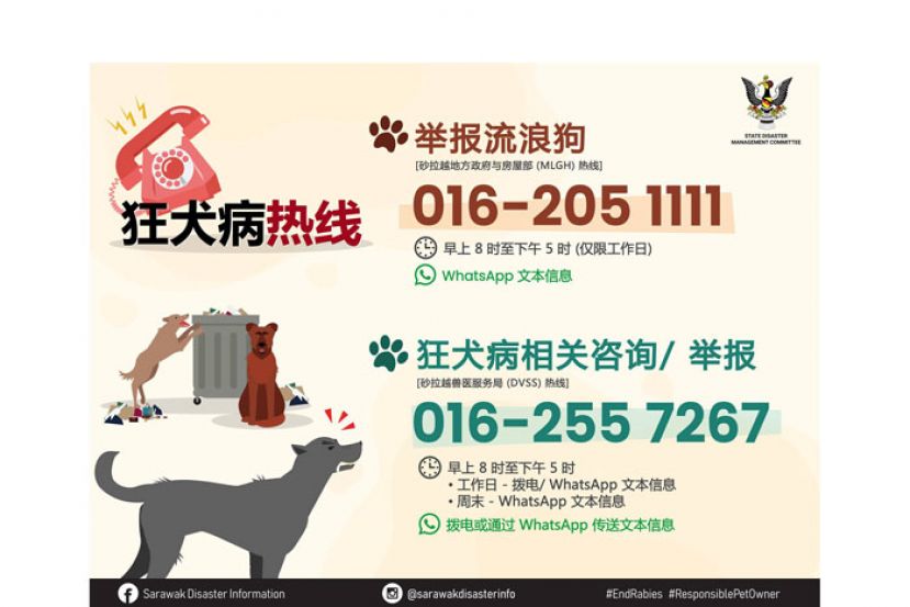 举报流浪狗与提供狂犬病相关咨询的热线号码。