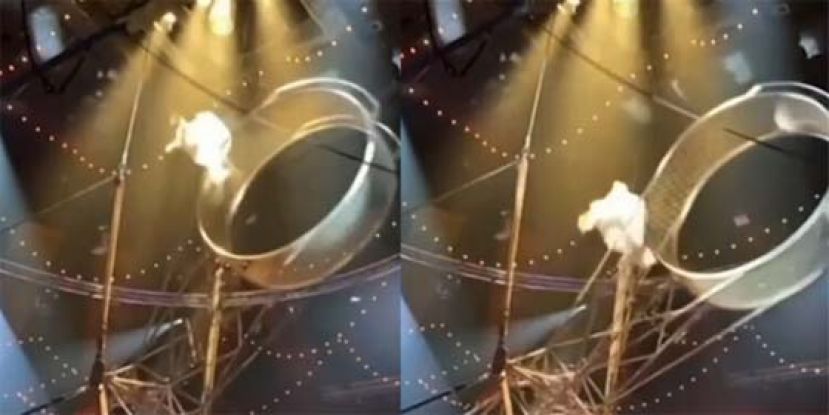 马戏团恐怖意外，特技员失足坠下。