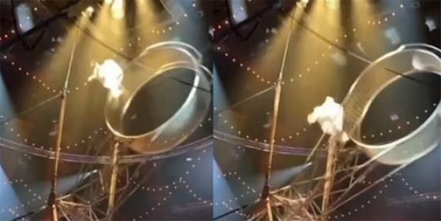 马戏团恐怖意外，特技员失足坠下。