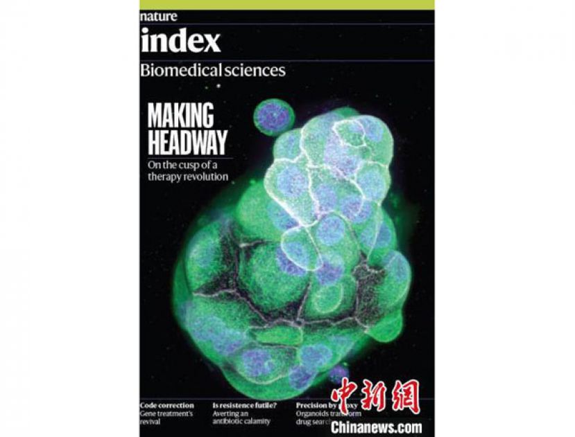 《自然》增刊&ldquo;2022年自然指数-生物医学科学&rdquo;封面。