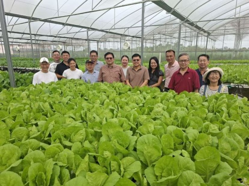 左起为农业组组员蔡维达、青商团黄冀义、农业组组员陈玮政、会员黄秋琴、农业组组员本固鲁李开喜、农业组副主任蔡建铨、农业组主任卢少奎、会员张文丽、农业组组员拿督王裕华、青商团吴金芝、农业组组员兼Emma Hydroponics Farm董事经理俞国利、青商团团长黄福庆、农业组组员黄长财及夫人林顺雁在翠绿的蔬菜前留影。