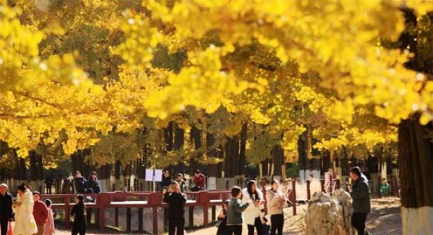 穆迪下调中国信评展望至负面，全球关注&ldquo;中国经济&rdquo;动向。