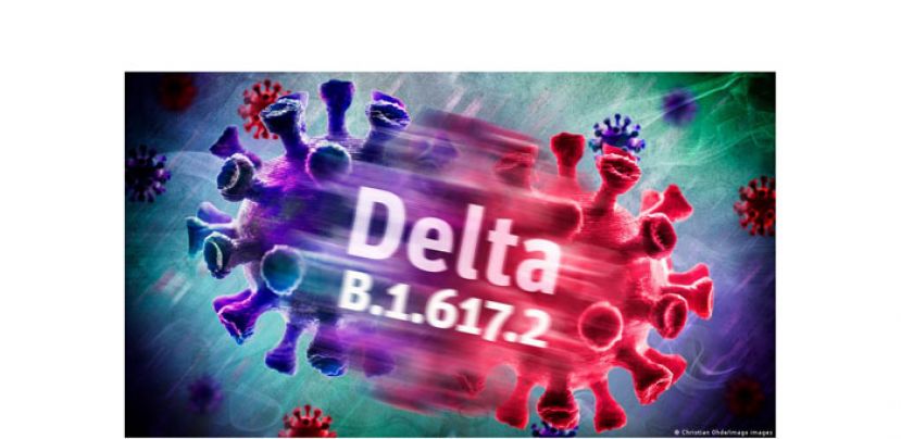 大马再发现10宗Delta病例