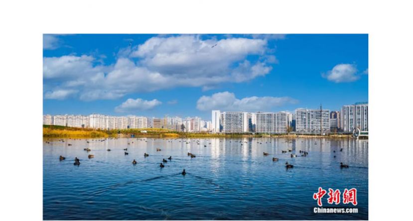 与城市相融的邛海。