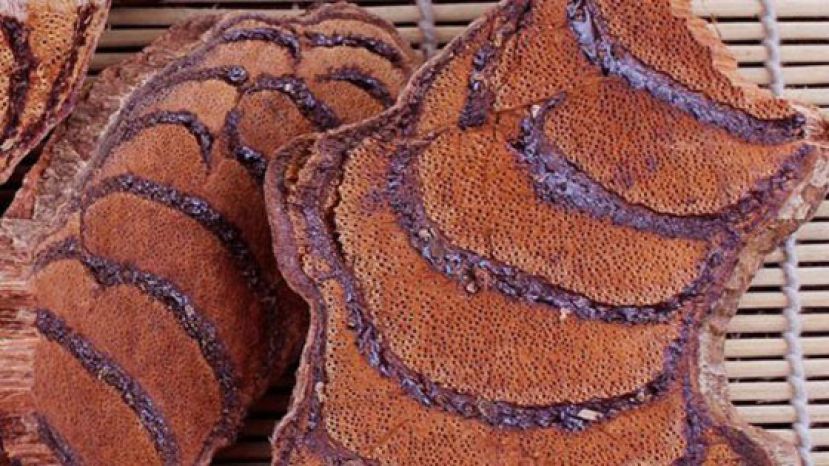 港大研究发现，中药鸡血藤提取物，可抑制杀灭新冠病毒。