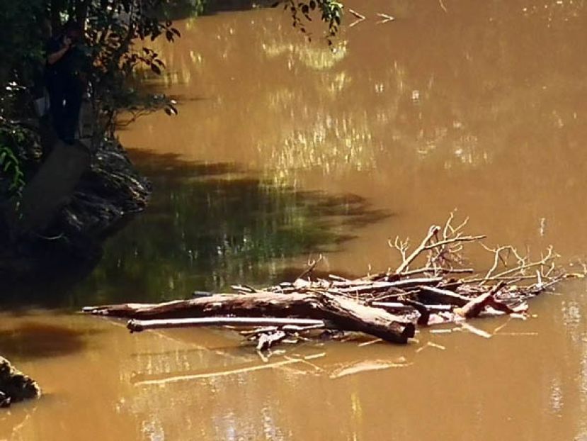 一具男性尸体搁浅在河流的浮木堆。