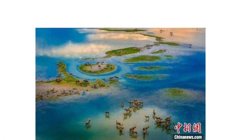 位于盐城的中国黄(渤)海候鸟栖息地(第一期)是中国首处滨海湿地类世界自然遗产。