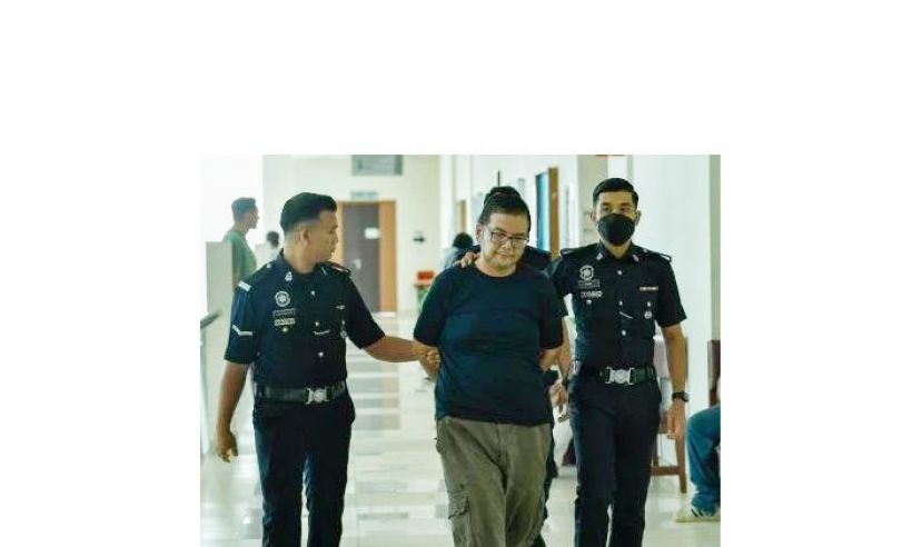 许佳玲命案 嫌犯被控谋杀罪名