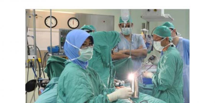 大马卫生部早在2013年已发布大马美容医学实践指南，该指南清楚阐明只有拥有大马医学执照的外科手术医生，才能为民众进行抽脂手术。