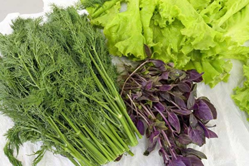 利用苹果、纸巾 让蔬菜储存更久