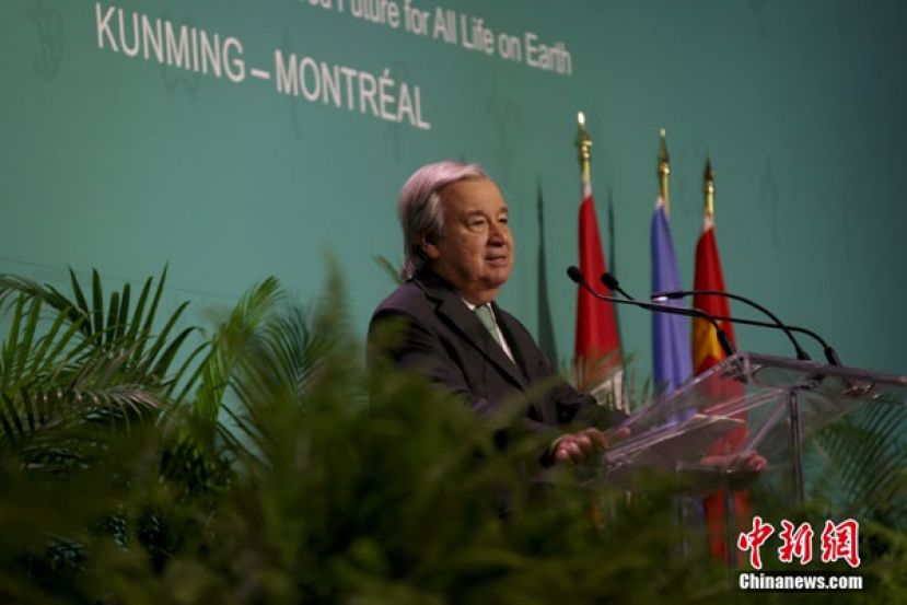 当地时间12月6日，联合国秘书长古特雷斯在加拿大蒙特利尔出席联合国《生物多样性公约》第十五次缔约方大会（COP15）第二阶段会议开幕前夕的欢迎仪式时，以严厉措辞对人类破坏自然的后果发出警告，并呼吁发达国家在守护世界自然财富方面向发展中国家提供更多资金支持。