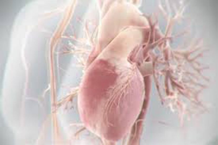 急性冠心病年轻烟民高危七成患者无胸痛症状