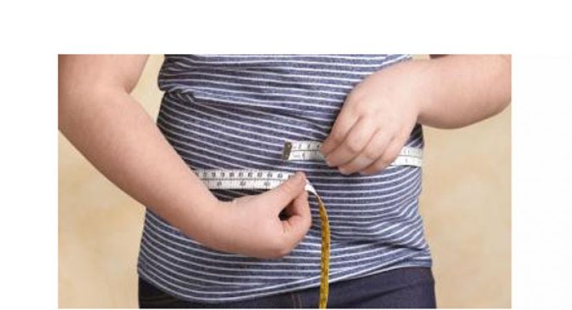 副卫长：大马儿童痴肥率日趋严重