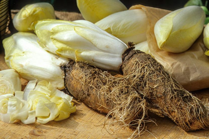 益菌生、益生菌分不清？ 5种食物补充益菌生