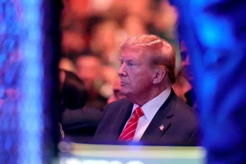 特朗普10日现身于MMA现场观看格斗比赛。