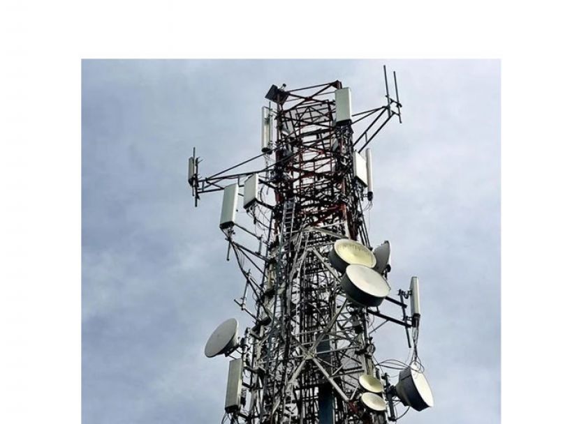 张念群：砂人口稠密区4G覆盖率87.52%