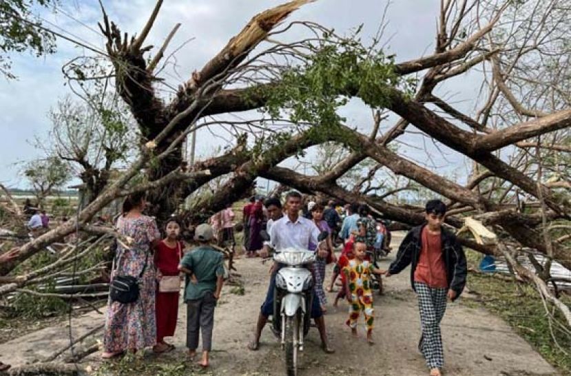 在缅甸若开邦，摩卡带来的强风吹倒大树。