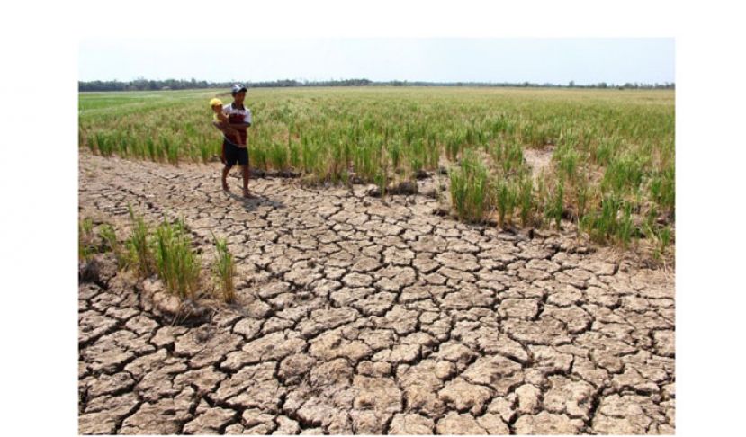 厄尔尼诺来了！　大马将陷长期炎热干燥