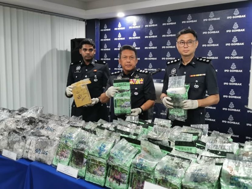 警方捣毁2个贩毒集团  共充公市值逾712万1015令吉的毒品