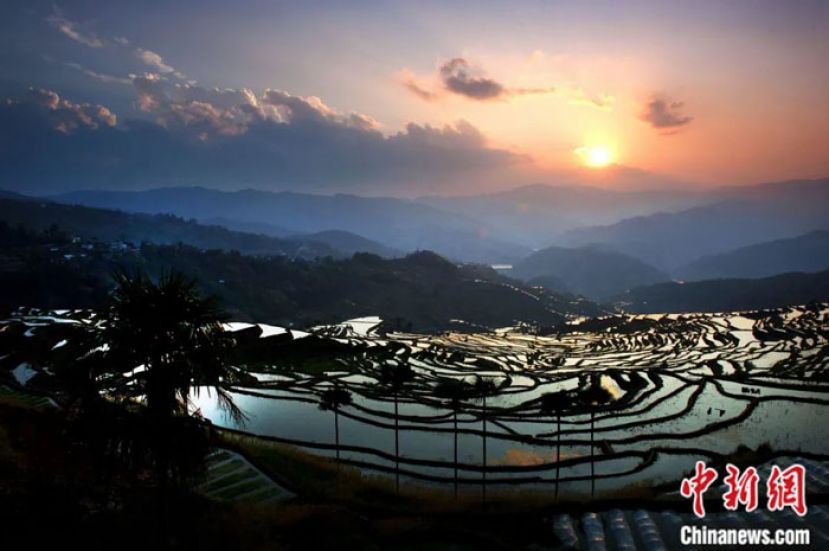 红河哈尼梯田晚霞。