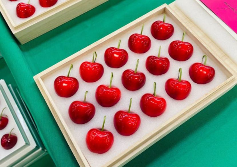 日本青森限定高级樱桃&ldquo;朱诺之心&rdquo;。