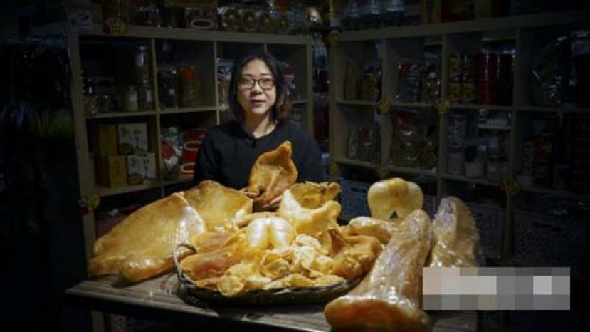 Maggie自认和一般爱追求名牌的女性不同，不是&ldquo;手袋痴&rdquo;，而是&ldquo;花胶痴&rdquo;。