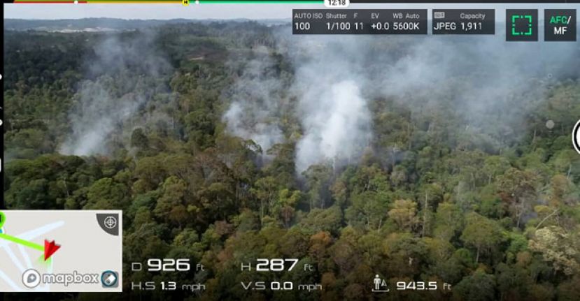 民都鲁国家公园林火恶化，迄今烧毁九依甲树林。