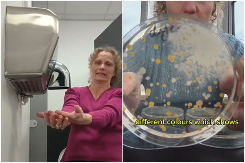 烘手机空气样本隔天出现大量细菌。