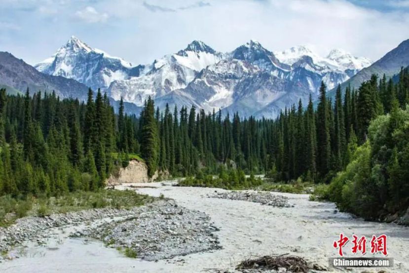 昭苏夏塔景区。