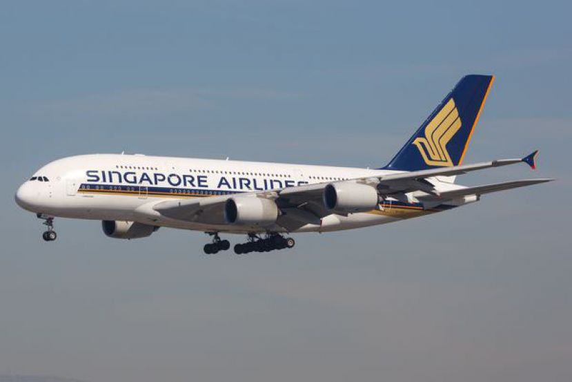 熬过疫情净利创新高　新加坡航空发8个月薪资奖励员工