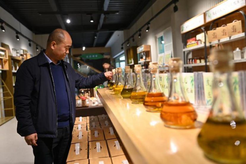 赵海云查看不同品种的橄榄油。