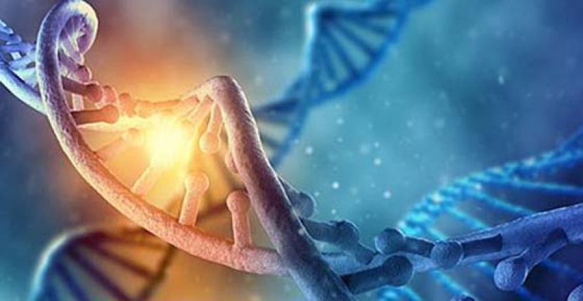 疫情期击退肺癌　靠疫苗标靶药NGS三武器