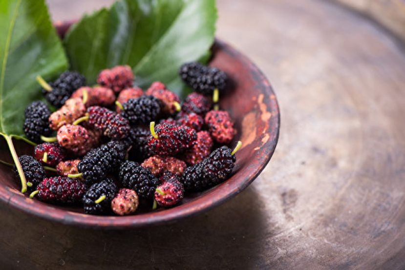 桑葚养黑发又护眼 但别单独吃