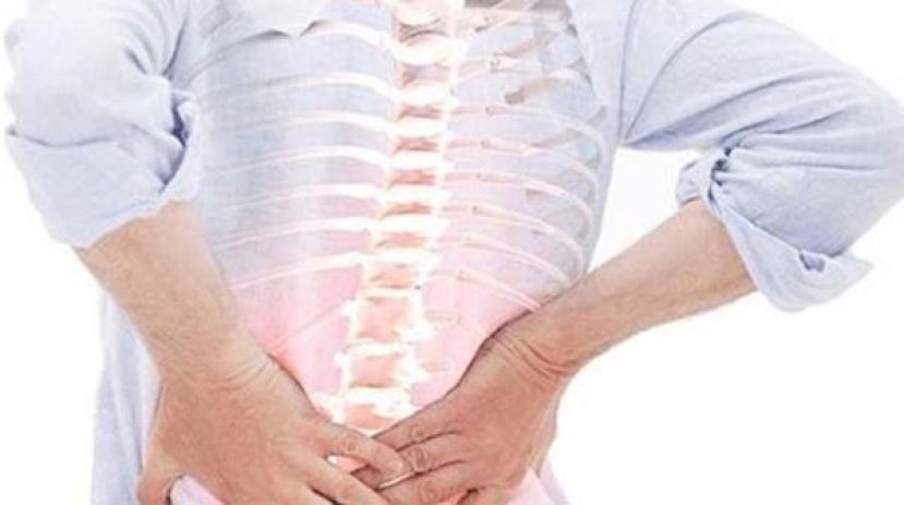 英研究：抑制特定蛋白质，或能有效治疗骨质疏松。