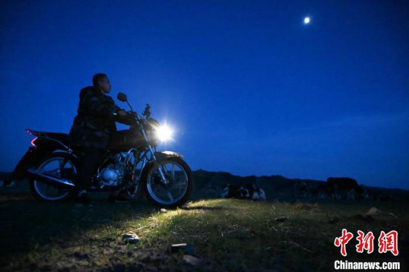 内蒙古扎鲁特草原上，牧民达兰台正在默默巡护牛群。