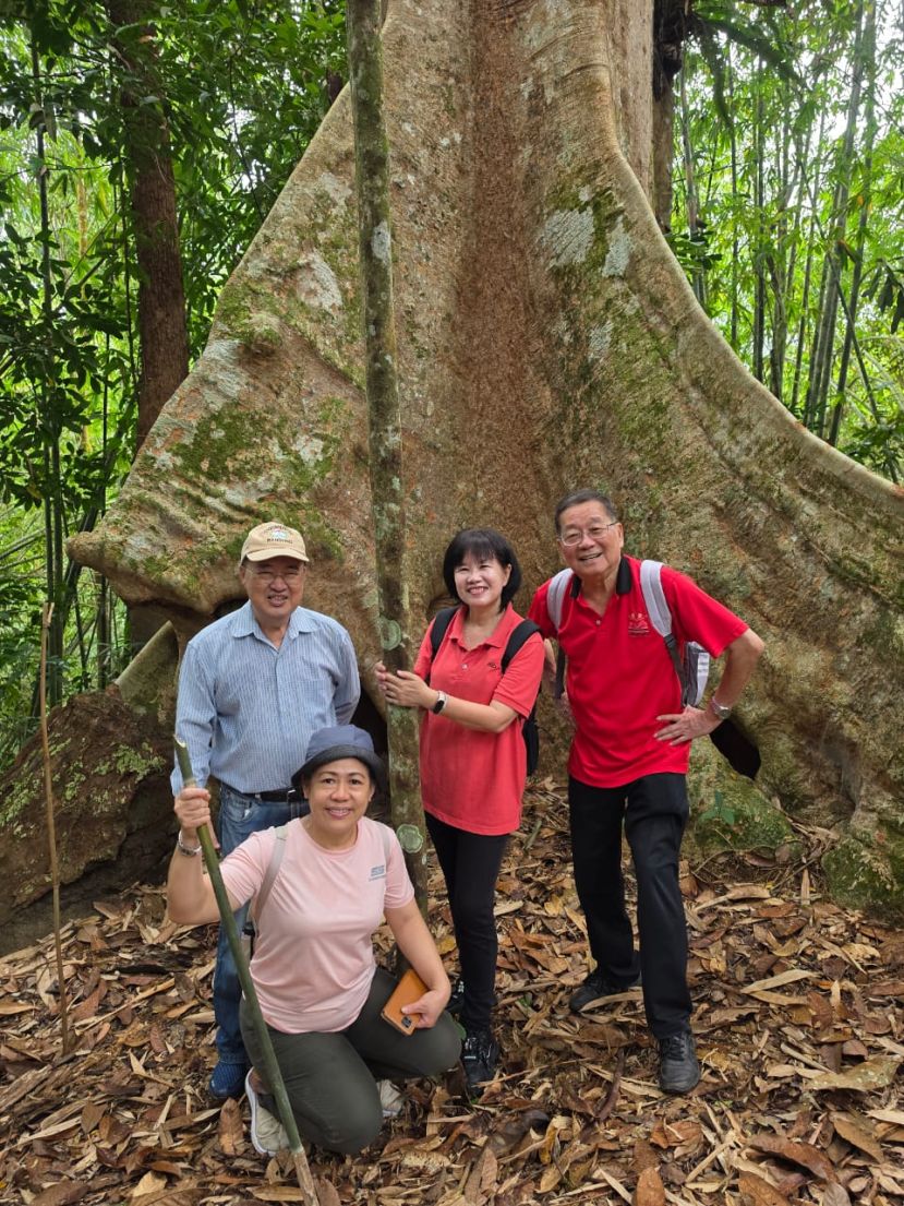 会长拿督邓伦奇律师(右一)与部份參与者在―棵大树的根板前合影，左一为邓景文校长。
