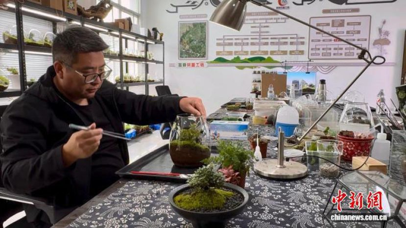 浙江莲都老竹畲族镇，&ldquo;苔藓共富工坊&rdquo;主理人张柏强制作苔藓文创艺术品。