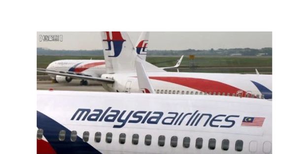 陆兆福：截至今年10月　马航181宗返航和18宗折返事故