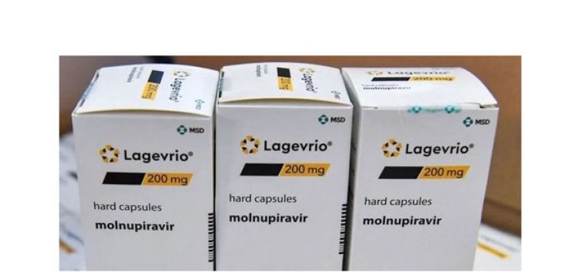 冠病药Lagevrio诱发变异? 　药监局：公司需提交最新数据