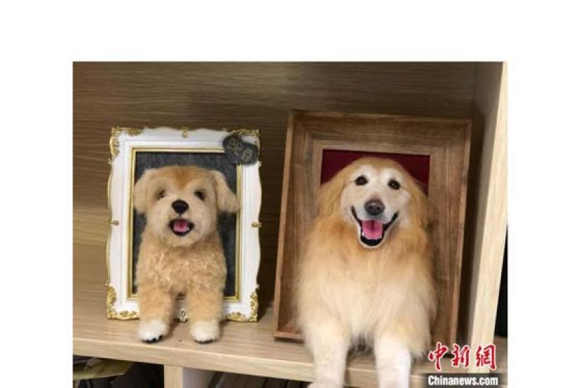 梁思思制作的羊毛毡作品。