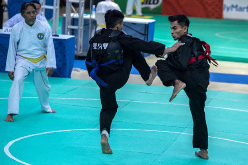 马来武术获UNESCO列入非物质文化遗产名录。