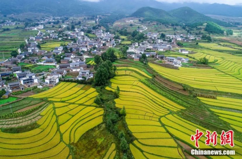 剑川一景。