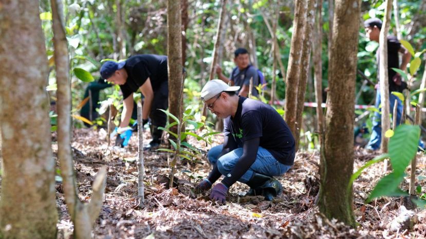 砂拉越截至今年10月已植树5500万棵 远超原定目标3500万棵 成为全国表现最佳的州属