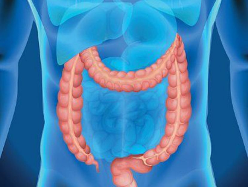 观大便颜色知身体健康状况