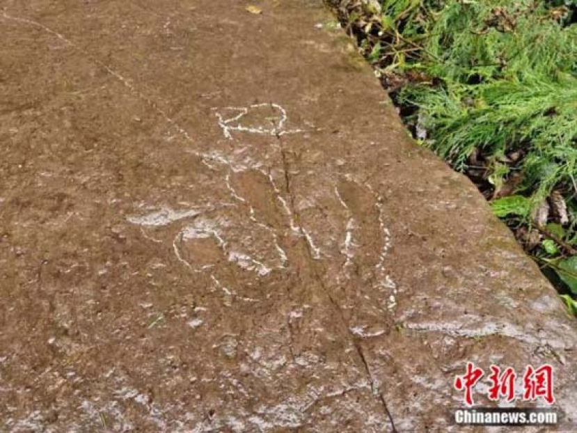 杨哲睿发现的恐龙足迹。