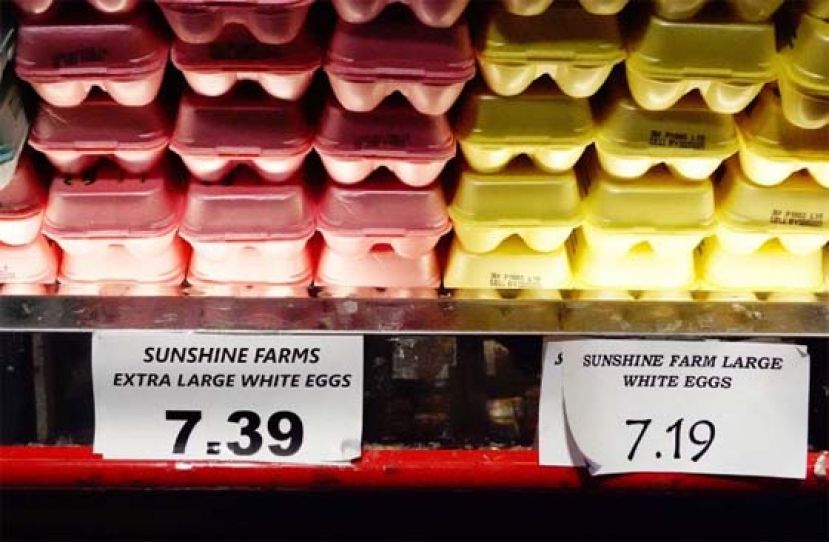 禽流感爆发导致美国鸡蛋短缺，蛋价节节上升 。